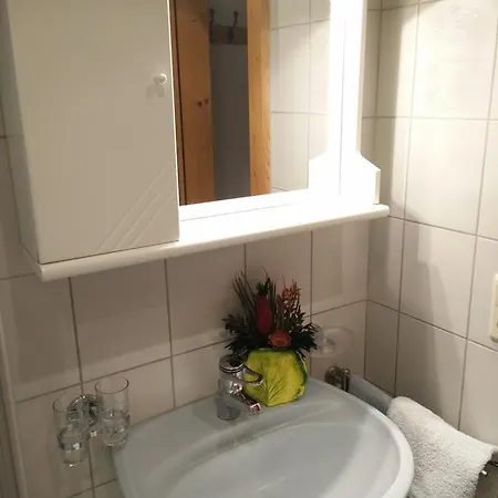 蓬兹公寓 公寓 *