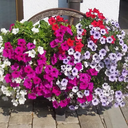 蓬兹公寓 公寓 Zellberg