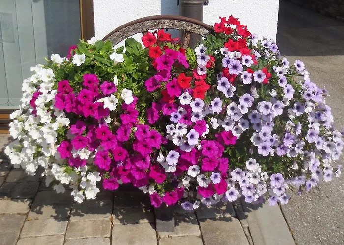 Penz 아파트 Zellberg